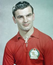 Sándor Kocsis