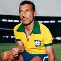 Zizinho